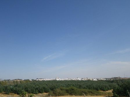 IMGP0564.JPG