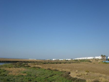 IMGP0589.JPG