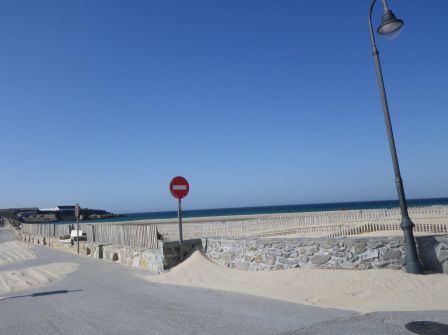 IMGP0617.JPG