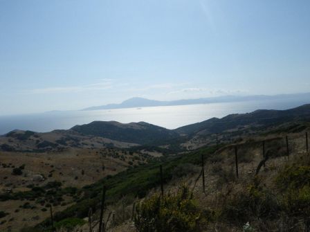 IMGP0623.JPG
