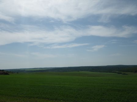 IMGP1529.JPG