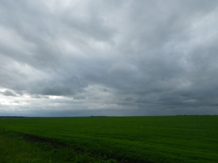 IMGP1569.JPG