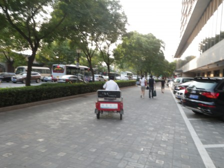 IMGP2282.JPG