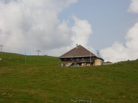 IMGP0230JPG
