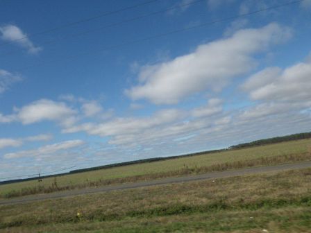 IMGP0241.jpg