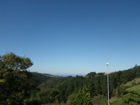 IMGP0242.jpg