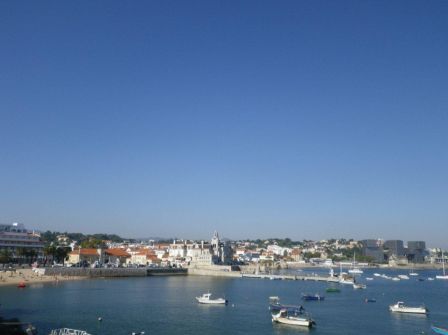 IMGP0446.jpg