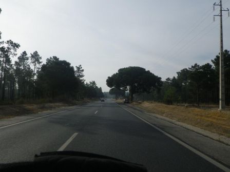 IMGP0495.jpg