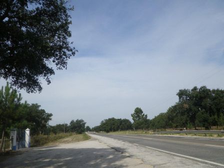 IMGP0497.jpg