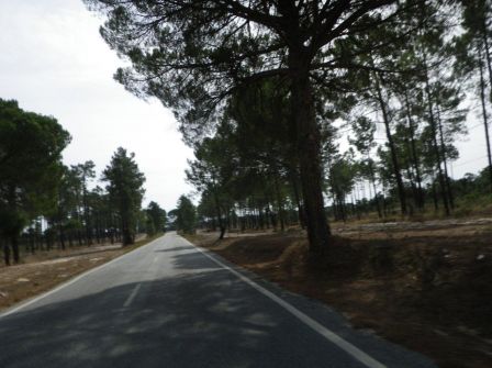 IMGP0503.jpg