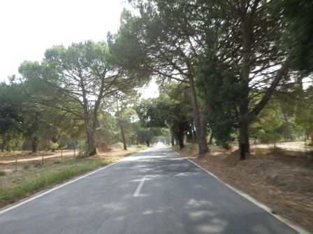 IMGP0506.jpg