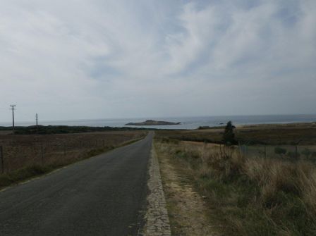 IMGP0519.jpg