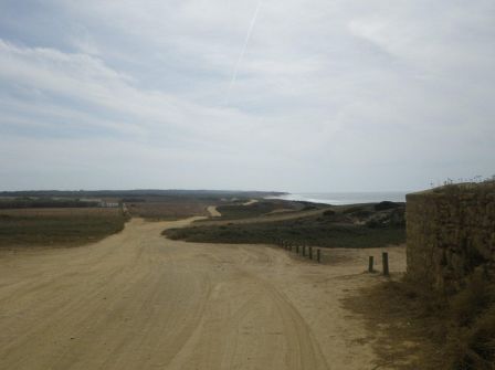 IMGP0521.jpg