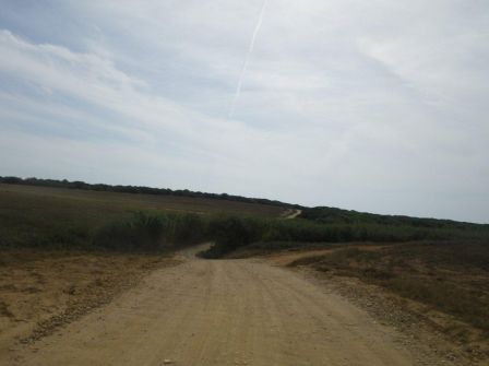 IMGP0523.jpg