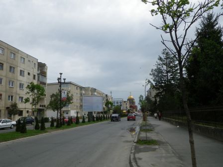 IMGP0945.JPG