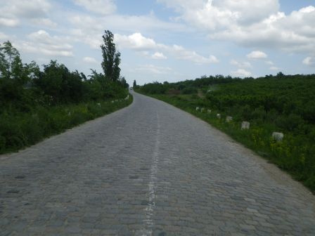 IMGP0973.JPG