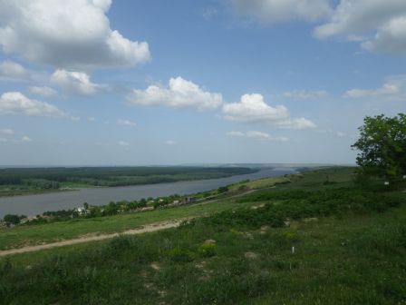 IMGP0975.JPG