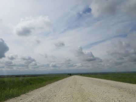 IMGP0976.JPG
