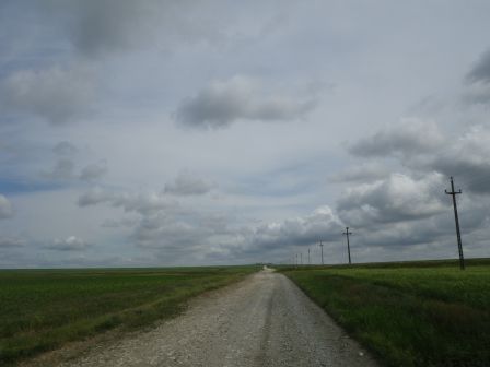 IMGP0980.JPG