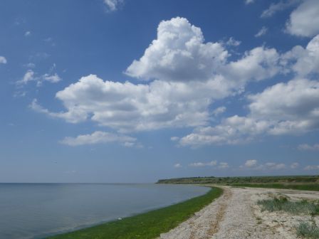 IMGP1021.JPG