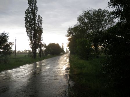IMGP1035.JPG