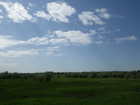IMGP1039.JPG