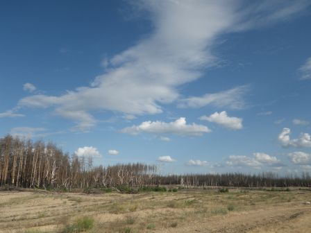 IMGP1072.JPG