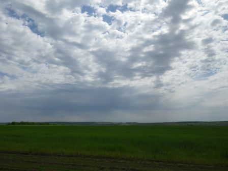 IMGP1086.JPG