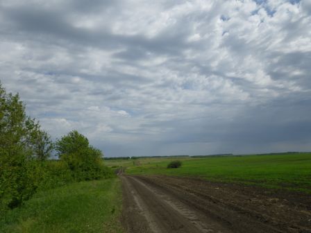 IMGP1088.JPG