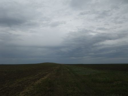 IMGP1111.JPG