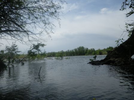 IMGP1126.JPG