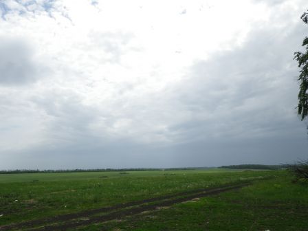 IMGP1139.JPG