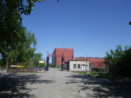 IMGP1265.JPG