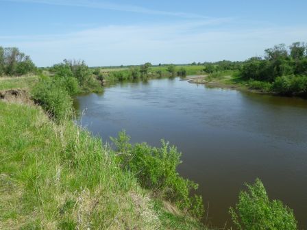IMGP1273.JPG