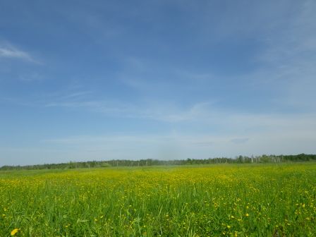 IMGP1286.JPG