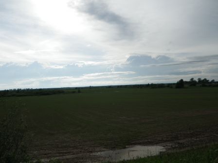IMGP1618.JPG
