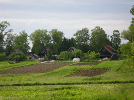 IMGP1622.JPG