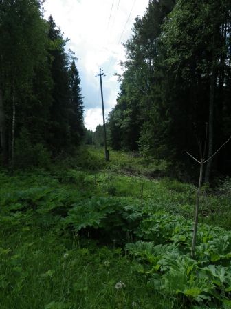 IMGP1644.JPG