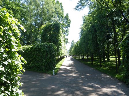 IMGP1696.JPG