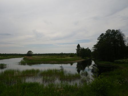 IMGP1734.JPG