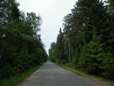 IMGP1736.JPG