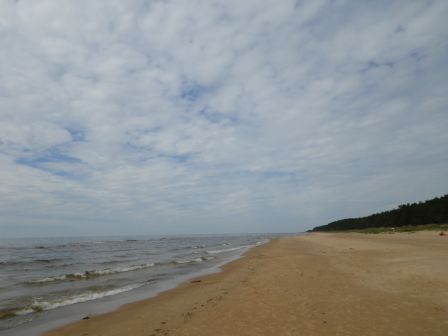 IMGP1769.JPG