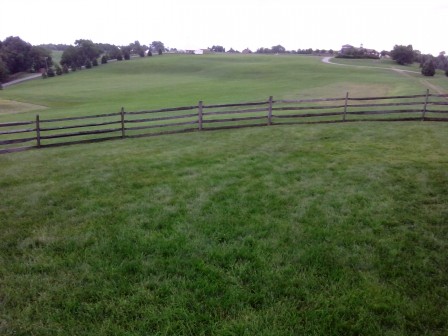 IMG_20130707_195109.jpg